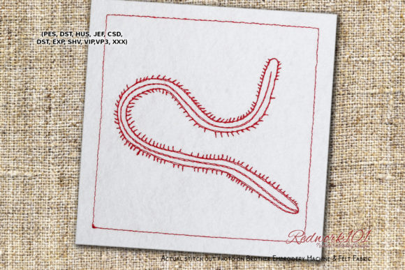 Exploring Bristle Worm: A Unique Embroidery Design